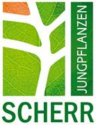 Logo Jungpflanzen